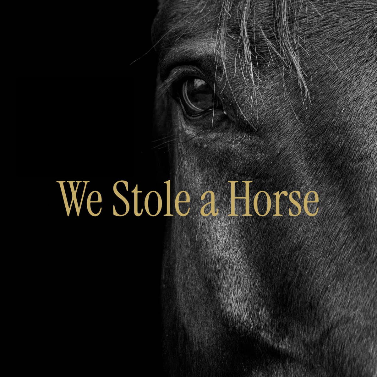 We Stole a Horse